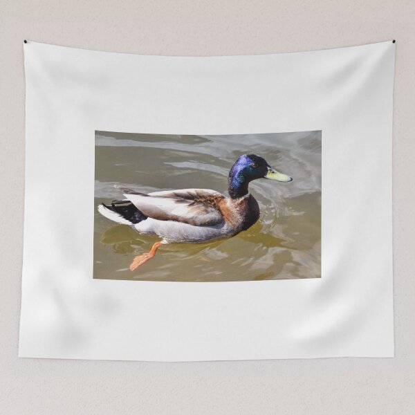 Item preview, Duck........... designed and sold by lynn carter.