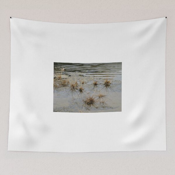 Item preview, SEA SPIDERS designed and sold by kazaroodie.