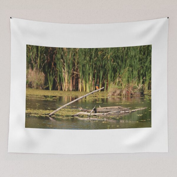 Item preview, Alcedo Atthis ispida designed and sold by HoremWeb.