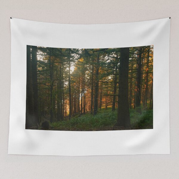 Item preview, Samuel H Boardman State Park, Curry County, Oregon designed and sold by Mike Kunes.