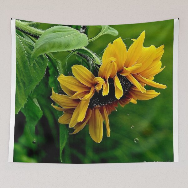 Item preview, SUNFLOWER LOVE designed and sold by RoseMarie747.