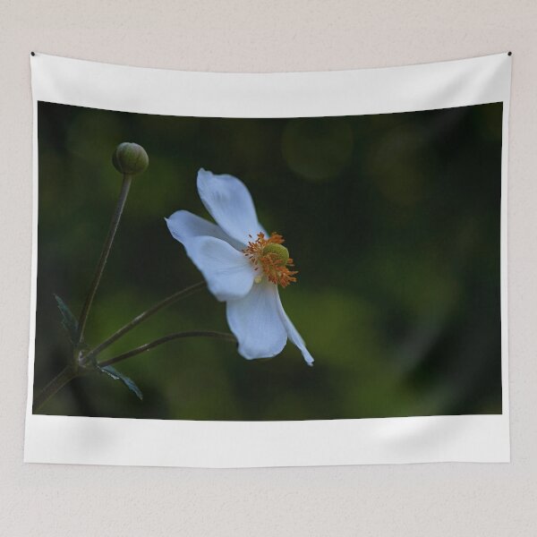 Item preview, Japanese Windflower designed and sold by Ian English Imagery.