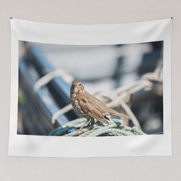 Item preview, Thrush on a Boat designed and sold by Cameranick.