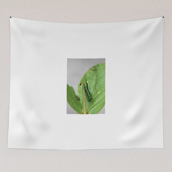 Item preview, Lunch Time designed and sold by Dana Yoachum.