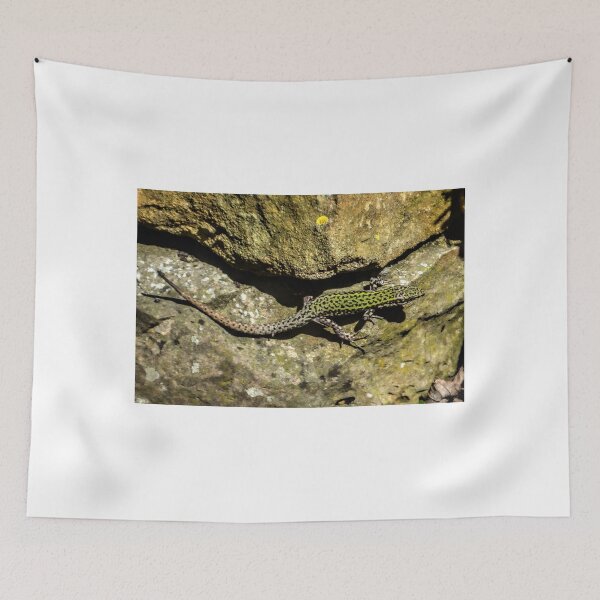Item preview, Small Lizard at Abbotsbury,Dorset UK designed and sold by lynn carter.