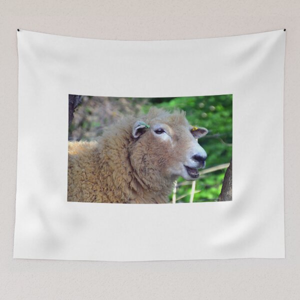 Item preview, Ewe have a great smile......... designed and sold by lynn carter.