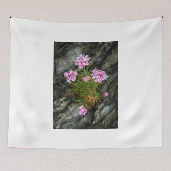 Item preview, Cornish Thrift designed and sold by Lucy Davey.