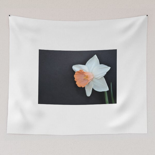 Item preview, Soft Orange and White Daffodil designed and sold by Kathleen Brant.