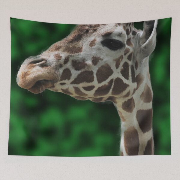 Item preview, Giraffe Close Up designed and sold by bloomingvine.