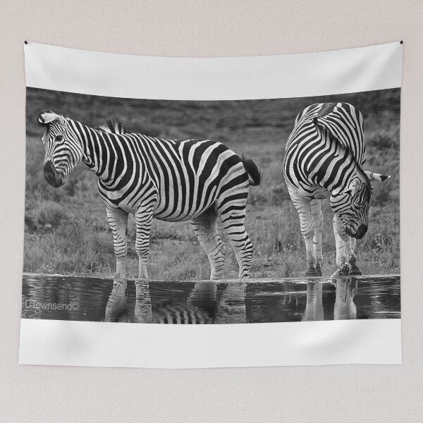 Item preview, Zebra designed and sold by Deborah V Townsend.