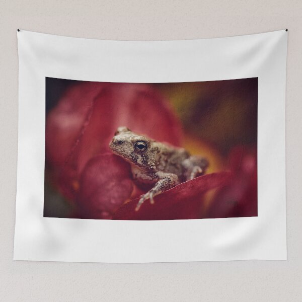 Item preview, The Secret World of Peepers designed and sold by Lois  Bryan.