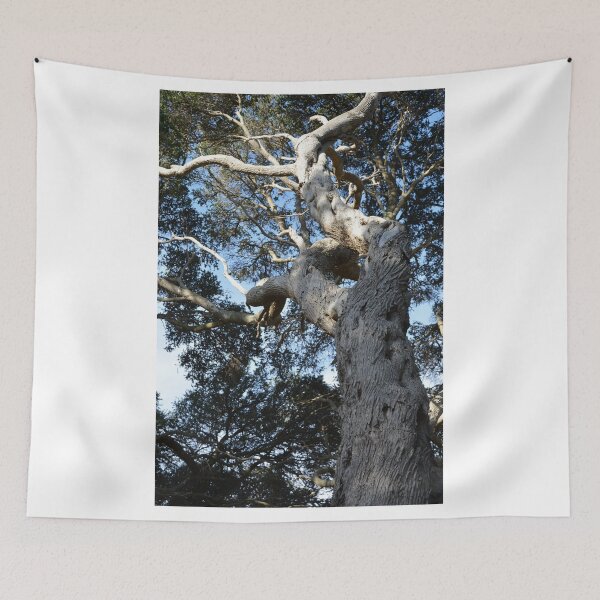 Item preview, TALL TREE designed and sold by kazaroodie.