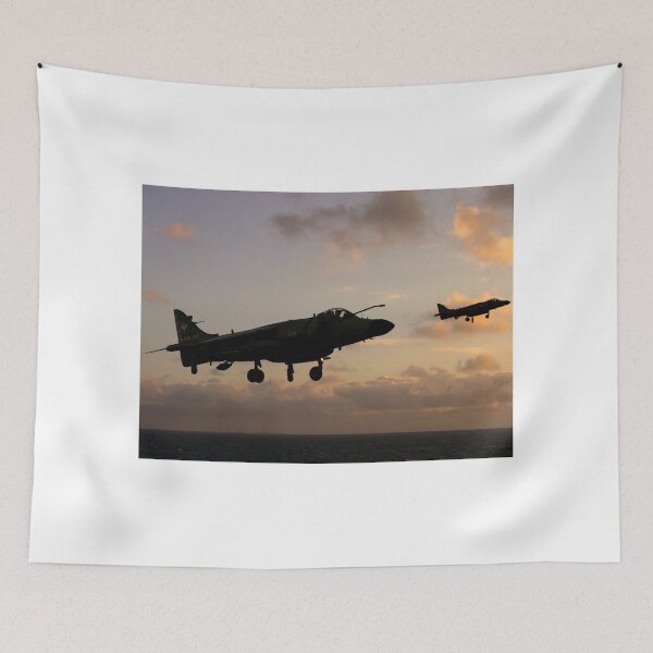 Item preview, Royal Navy Sea Harriers designed and sold by captureasecond.
