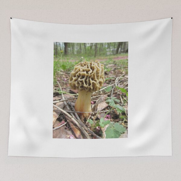 Item preview, Morel Mushroom ~ designed and sold by Ginny York.