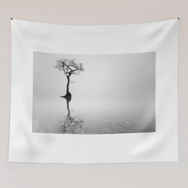 Item preview, Misty Tree in water designed and sold by Grant Glendinning.