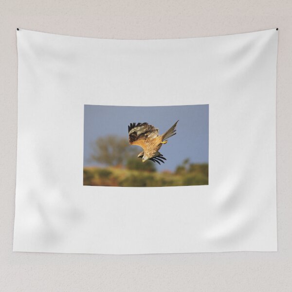 Item preview, Red Kite diving designed and sold by Grant Glendinning.