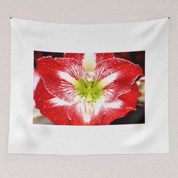 Item preview, Amaryllis Ambush designed and sold by Bad Habits Lounge Studio.