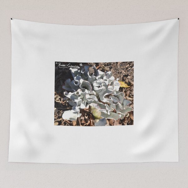 Item preview, barwon park garden at winchelsea designed and sold by brittavanden.
