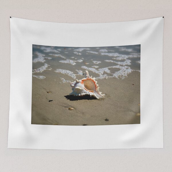 Item preview, Seashell Splendor 3 designed and sold by Lynnrmorris.