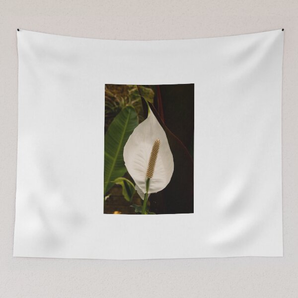 Item preview, Anthurium designed and sold by Thaddeus Zajdowicz.