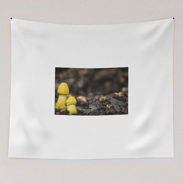 Item preview, Fungus in minature #1 designed and sold by shaynetwright.