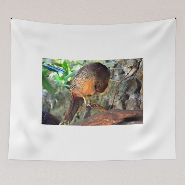 Item preview, A Shy Golden Pheasant........... designed and sold by lynn carter.