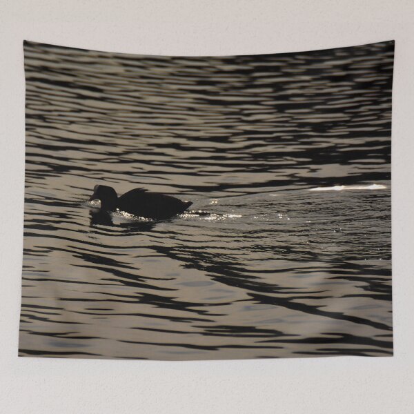 Item preview, Swimming Coot - photograph designed and sold by Paul Davenport.