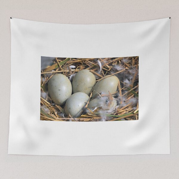 Item preview, Five Large Swan Eggs........... designed and sold by lynn carter.