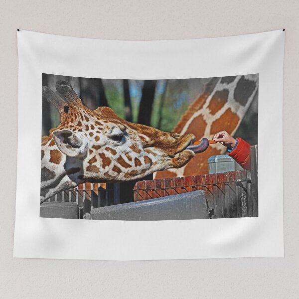 Item preview, Carrots Are Sweet designed and sold by miroslava.