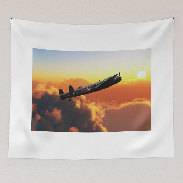 Item preview, Evening flight designed and sold by SteveWard.