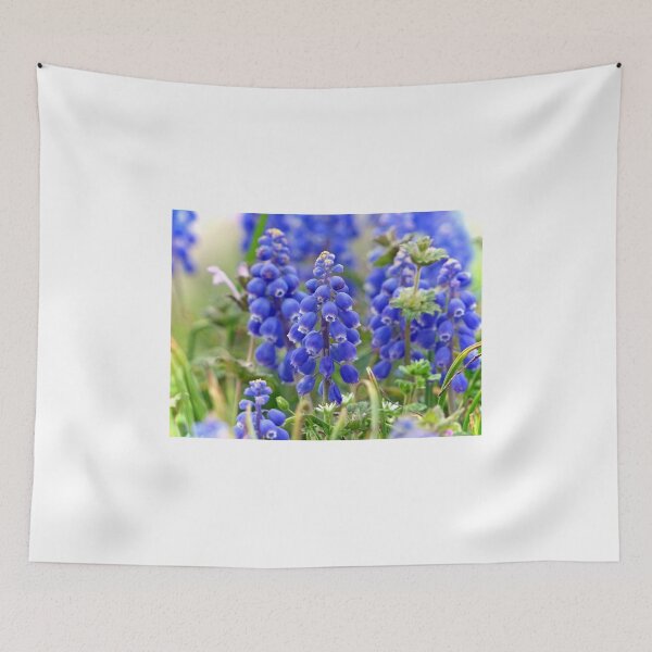 Item preview, Little Beauties designed and sold by Frankie Cat Photography.