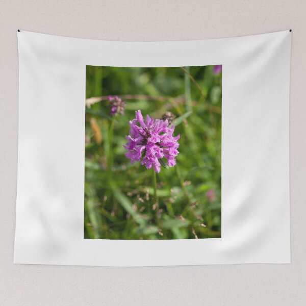 Item preview, Betony designed and sold by Sue Robinson.