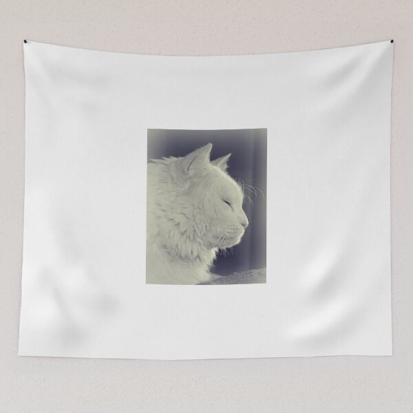 Item preview, Pondering the meaning of life designed and sold by Scott Mitchell.