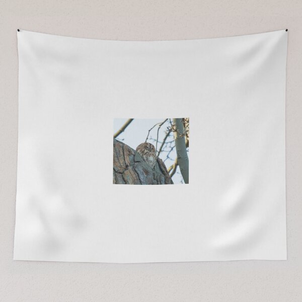 Item preview, Tawny Owl Roosting designed and sold by Sue Robinson.