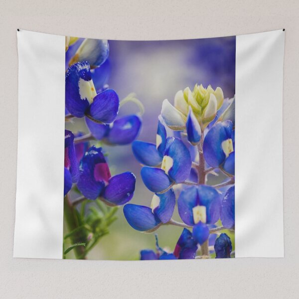 Item preview, Bluebonnets designed and sold by Colin Bester.