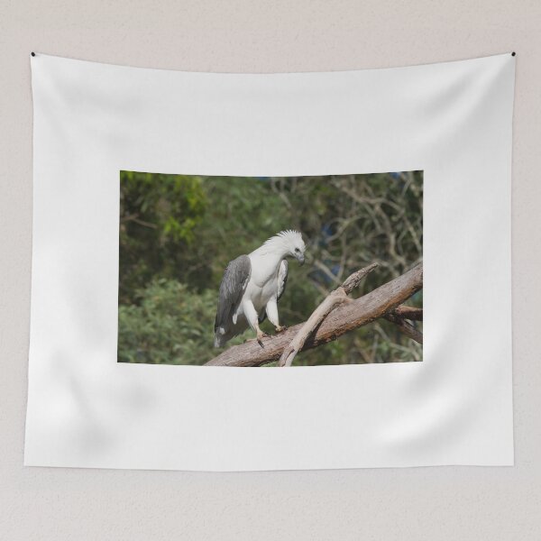 Item preview, Am I Looking Good? designed and sold by byronbackyard.