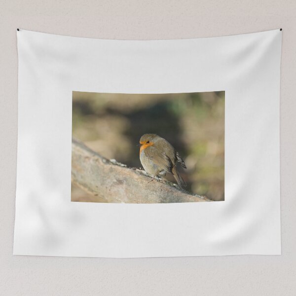 Item preview, Robin designed and sold by Sue Robinson.