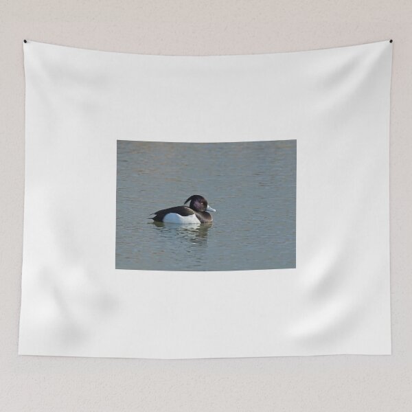 Item preview, Tufted Duck designed and sold by Sue Robinson.