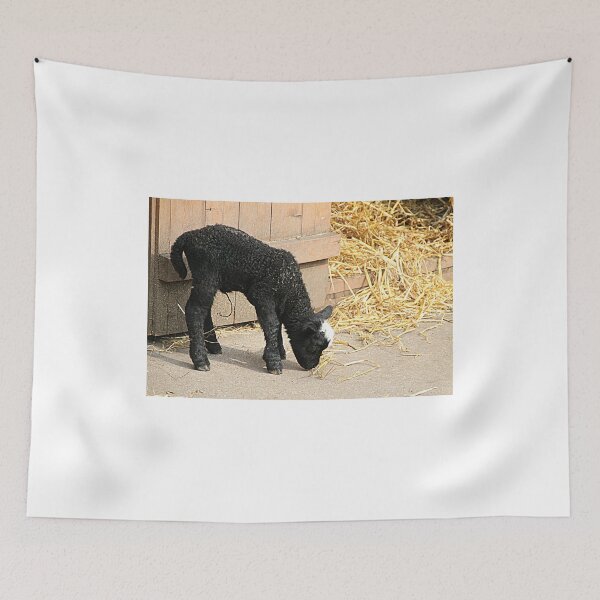Item preview, Baaaa Baaa Black Sheep designed and sold by Ladymoose.