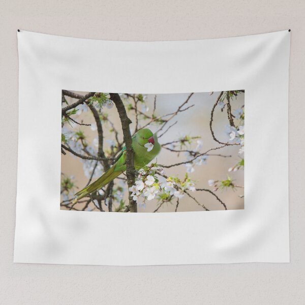 Item preview, Ring Neck Parakeet designed and sold by Ellesscee.
