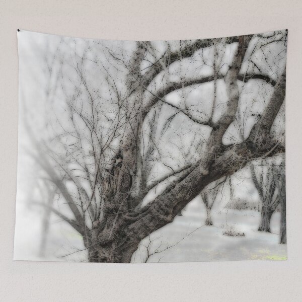 Item preview, Old Tree on White designed and sold by bloomingvine.