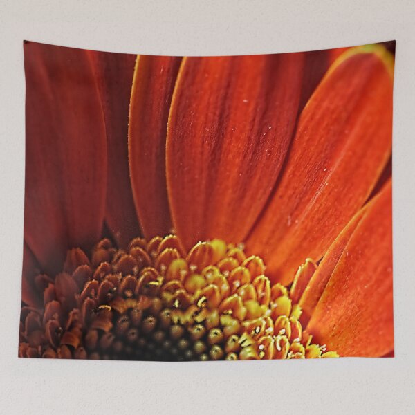 Item preview, Orange Gerbera Daisy Cropped designed and sold by bloomingvine.