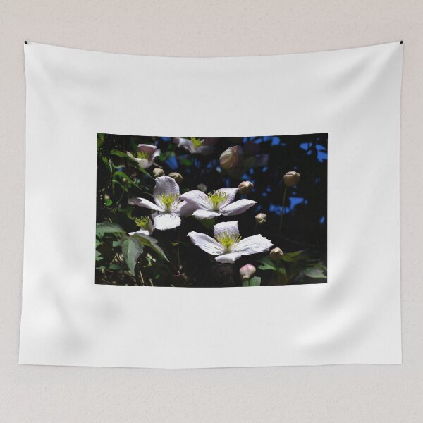 Item preview, Clematis in  shadow........... designed and sold by lynn carter.