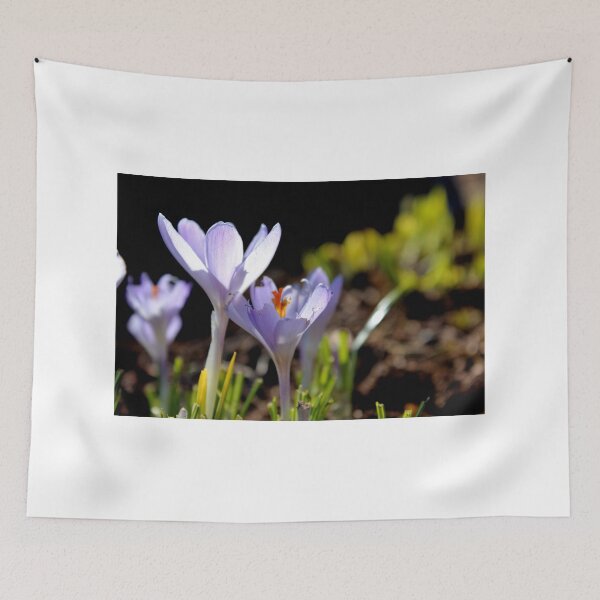 Item preview, Crocus designed and sold by Kathleen Daley.
