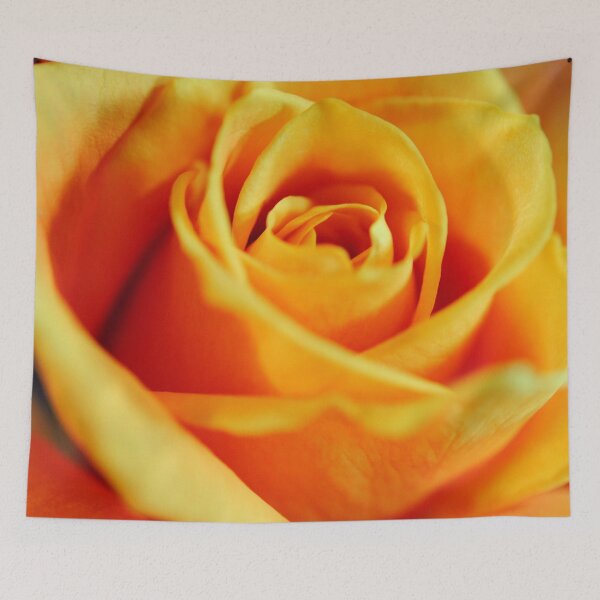 Item preview, Flame Colored Rose designed and sold by bloomingvine.