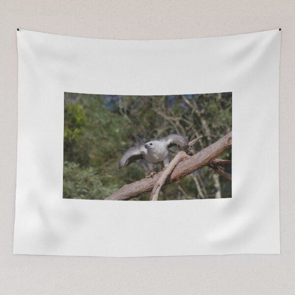 Item preview, Launching  designed and sold by byronbackyard.