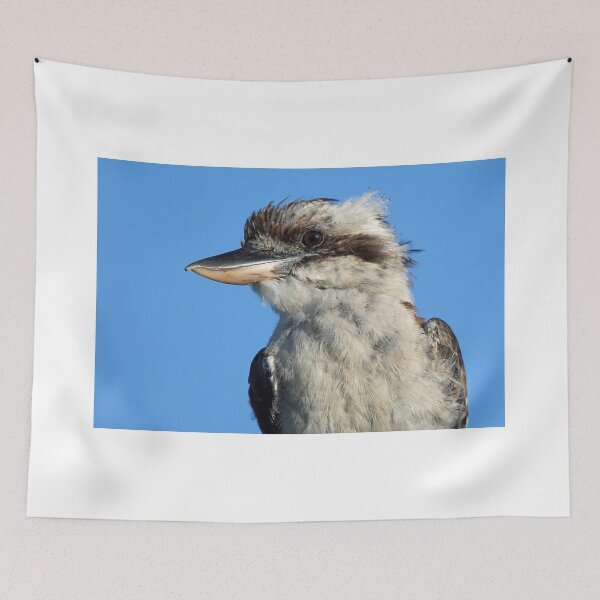 Item preview, Kookaburra Profile designed and sold by Anthony Goldman.
