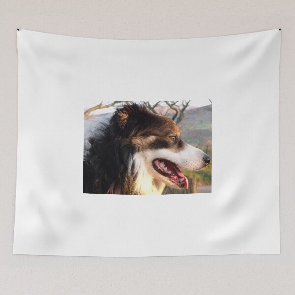 Item preview, You've got a friend in me. designed and sold by Michael Haslam.