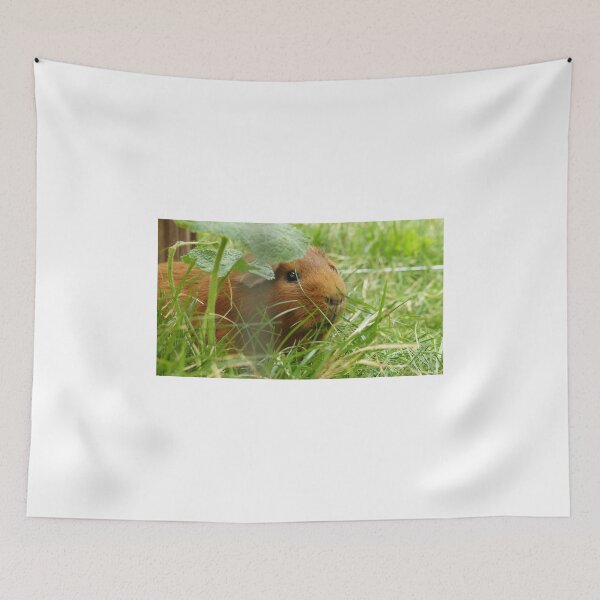 Item preview, Guinea pig hidden in the grass designed and sold by Margotte.