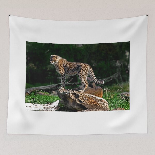 Item preview, Cheetah Cub Finds Her Pride Rock designed and sold by miroslava.